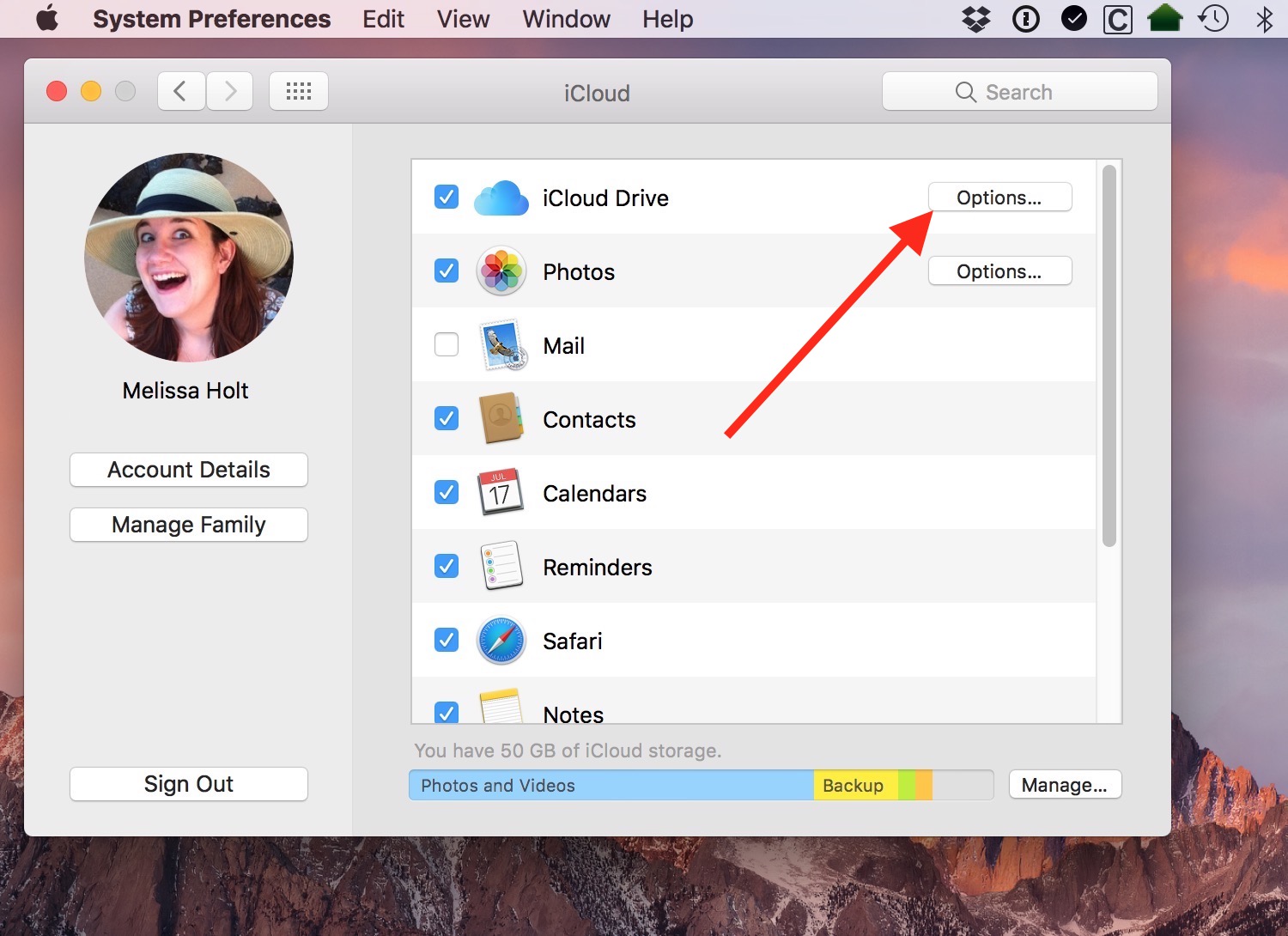 download icloud folders to mac